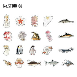 ST100 V[   f ʕ t[NV[ PET R[W f R[W V[ R[WV[ R[Wf XebJ[  蒠 L WNW[i CO m 