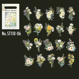 ST110 V[ A  t[ S[h t[NV[ PET R[W f R[W V[ R[WV[ R[Wf XebJ[  蒠 L WNW[i CO 