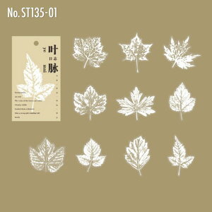 ST135 V[ t t gt t t[NV[ PET R[W f R[W V[ R[WV[ R[Wf XebJ[  蒠 L WNW[i CO m