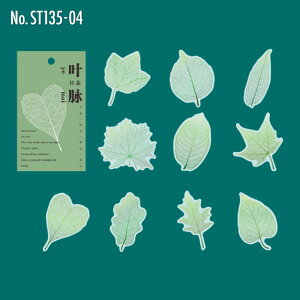 ST135 V[ t t gt t t[NV[ PET R[W f R[W V[ R[WV[ R[Wf XebJ[  蒠 L WNW[i CO m