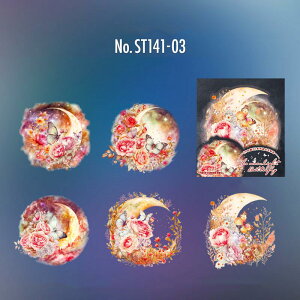 ST141 V[  F  X x o^tC  t[NV[ PET R[W f R[W V[ R[WV[ R[Wf XebJ[  蒠 L WNW[i 