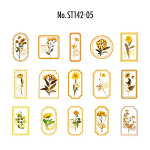 ST142 V[  t A ^O t[ X^v t[NV[ PET R[W f R[W V[ R[WV[ R[Wf XebJ[  蒠 L WNW[i