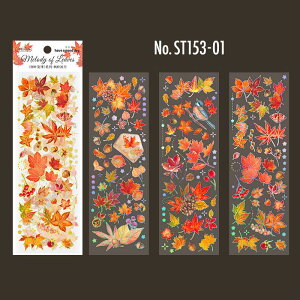 ST153 V[ gt ~W  t ǂ񂮂 PET R[W f R[W V[ R[WV[ R[Wf XebJ[  蒠 L WNW[i CO m 