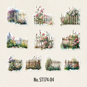 ST174 V[ KN [Y K[f  t[NV[ a R[W f R[W V[ R[WV[ R[Wf XebJ[  蒠 L WNW[i CO 