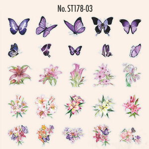 ST178 V[ KN [Y S X o^tC  t[NV[ PET R[W f R[W V[ R[WV[ R[Wf XebJ[  蒠 L WNW[i