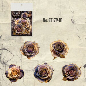 ST179 V[ KN [Y t[NV[ PET R[W f R[W V[ R[WV[ R[Wf XebJ[  蒠 L WNW[i CO m 