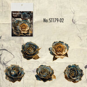 ST179 V[ KN [Y t[NV[ PET R[W f R[W V[ R[WV[ R[Wf XebJ[  蒠 L WNW[i CO m 