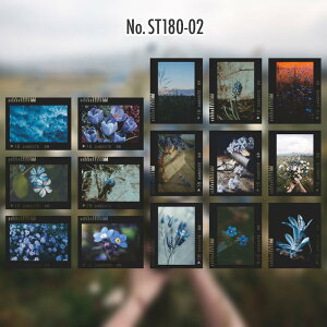 ST180 V[ J lK tB t[NV[ PET R[W f R[W V[ R[WV[ R[Wf XebJ[  蒠 L WNW[i CO m 