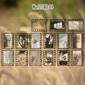 ST180 V[ J lK tB t[NV[ PET R[W f R[W V[ R[WV[ R[Wf XebJ[  蒠 L WNW[i CO m 