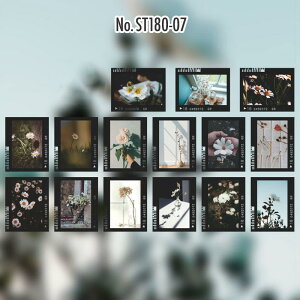 ST180 V[ J lK tB t[NV[ PET R[W f R[W V[ R[WV[ R[Wf XebJ[  蒠 L WNW[i CO m 