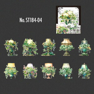 ST184 V[  KN [Y o t[ t[NV[ PET R[W f R[W V[ R[WV[ R[Wf XebJ[  蒠 L WNW[i CO 