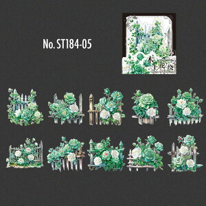 ST184 V[  KN [Y o t[ t[NV[ PET R[W f R[W V[ R[WV[ R[Wf XebJ[  蒠 L WNW[i CO 