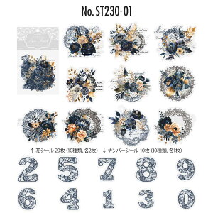 ST230 V[  [X ԍ io[  t[NV[ PET R[W f R[W V[ R[WV[ R[Wf XebJ[  蒠 L WNW[i CO 