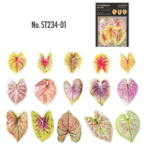 ST234 V[ A t ϗtA t[NV[ PET R[W f R[W V[ R[WV[ R[Wf XebJ[  蒠 L WNW[i CO m 