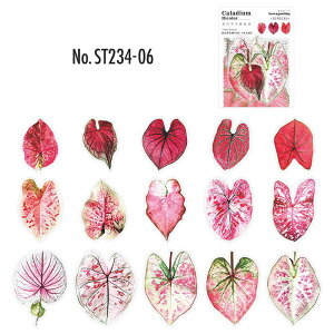 ST234 V[ A t ϗtA t[NV[ PET R[W f R[W V[ R[WV[ R[Wf XebJ[  蒠 L WNW[i CO m 