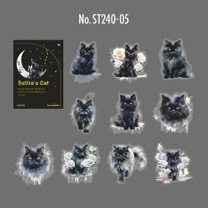 ST240 V[ L lR ˂ L t[NV[ PET R[W f R[W V[ R[WV[ R[Wf XebJ[  蒠 L WNW[i CO m 