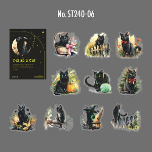 ST240 V[ L lR ˂ L t[NV[ PET R[W f R[W V[ R[WV[ R[Wf XebJ[  蒠 L WNW[i CO m 