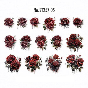 ST257 V[ KN o [Y  t[ t[NV[ PET R[W f R[W V[ R[WV[ R[Wf XebJ[  蒠 L WNW[i CO 