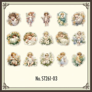 ST261 �V�[�� �l�� ���� �d�� �t�F�A���[ �V�g �� �Β� �t���[�N�V�[�� PET �R���[�W�� �f�� �R���[�W�� �V�[�� �R���[�W���V�[�� �R���[�W���f�� �X�e�b�J�[ ������ �蒠 ���L �W�����N�W���[