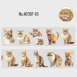 MT307 動物 猫 写真 ネコ ねこ PET コラージュ 素材 ロールシール コラージュ シール コラージュシール コラージュ素材 紙もの 手帳 日記 ジャンクジャーナル 海外 紙モノ 紙物