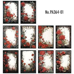 PA364 f  o KN [Y A  z wi R[W f fUCy[p[ wi  蒠 L WNW[i CO m 