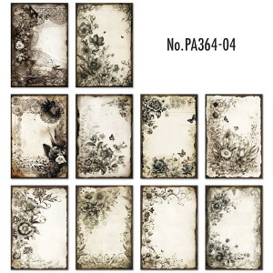 PA364 f  o KN [Y A  z wi R[W f fUCy[p[ wi  蒠 L WNW[i CO m 