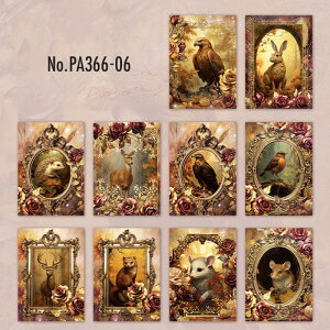 PA366 f E    z wi R[W f fUCy[p[ wi  蒠 L WNW[i CO m 