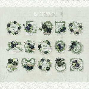 ST352 V[ o [Y z AWTC  t[NV[ PET R[W f R[W V[ R[WV[ R[Wf XebJ[  蒠 L WNW[i CO