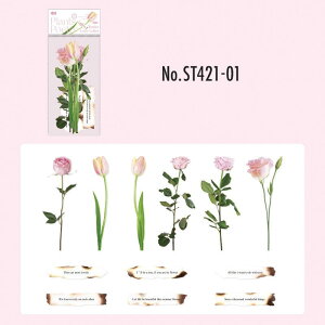 ST421 V[ o KN  [Y t[Y p t[NV[ PET R[W f R[W V[ R[WV[ R[Wf XebJ[  蒠 L WNW[i 