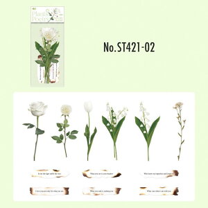 ST421 �V�[�� �o�� �K�N �� ���[�Y �t���[�Y �p�� �t���[�N�V�[�� PET �R���[�W�� �f�� �R���[�W�� �V�[�� �R���[�W���V�[�� �R���[�W���f�� �X�e�b�J�[ ������ �蒠 ���L �W�����N�W���[�i�� 