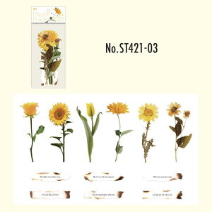 ST421 �V�[�� �o�� �K�N �� ���[�Y �t���[�Y �p�� �t���[�N�V�[�� PET �R���[�W�� �f�� �R���[�W�� �V�[�� �R���[�W���V�[�� �R���[�W���f�� �X�e�b�J�[ ������ �蒠 ���L �W�����N�W���[�i�� 