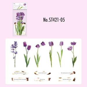 ST421 �V�[�� �o�� �K�N �� ���[�Y �t���[�Y �p�� �t���[�N�V�[�� PET �R���[�W�� �f�� �R���[�W�� �V�[�� �R���[�W���V�[�� �R���[�W���f�� �X�e�b�J�[ ������ �蒠 ���L �W�����N�W���[�i�� 