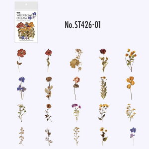 ST426 V[  ʕ t[c ̂ A t[NV[ PET R[W f R[W V[ R[WV[ R[Wf XebJ[  蒠 L WNW[i C