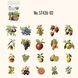 ST426 V[  ʕ t[c ̂ A t[NV[ PET R[W f R[W V[ R[WV[ R[Wf XebJ[  蒠 L WNW[i C