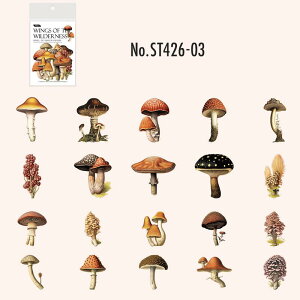 ST426 V[  ʕ t[c ̂ A t[NV[ PET R[W f R[W V[ R[WV[ R[Wf XebJ[  蒠 L WNW[i C