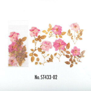 ST433 V[  hCt[  o KN t[NV[ PET R[W f R[W V[ R[WV[ R[Wf XebJ[  蒠 L WNW[i 