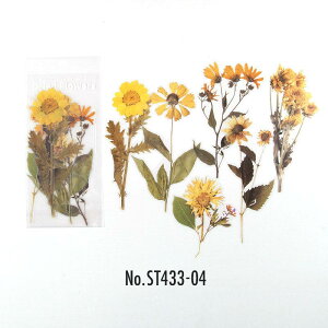 ST433 V[  hCt[  o KN t[NV[ PET R[W f R[W V[ R[WV[ R[Wf XebJ[  蒠 L WNW[i 