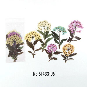 ST433 V[  hCt[  o KN t[NV[ PET R[W f R[W V[ R[WV[ R[Wf XebJ[  蒠 L WNW[i 