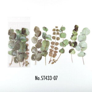 ST433 V[  hCt[  o KN t[NV[ PET R[W f R[W V[ R[WV[ R[Wf XebJ[  蒠 L WNW[i 