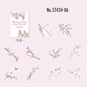 ST434 V[   V }  t[NV[ PET R[W f R[W V[ R[WV[ R[Wf XebJ[  蒠 L WNW[i CO m 