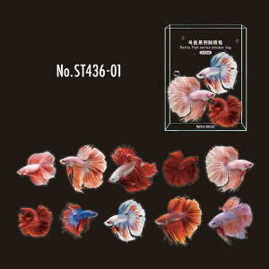 ST436 V[ Mы  t[NV[ PET R[W f R[W V[ R[WV[ R[Wf XebJ[  蒠 L WNW[i CO m 