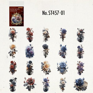 ST457 V[   o E\N C v t[NV[ PET R[W f R[W V[ R[WV[ R[Wf XebJ[  蒠 L WNW[i C