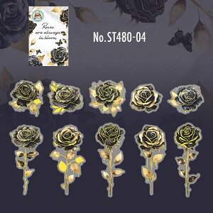 ST480 V[ o [Y KN  t[NV[ PET R[W f R[W V[ R[WV[ R[Wf XebJ[  蒠 L WNW[i CO m 