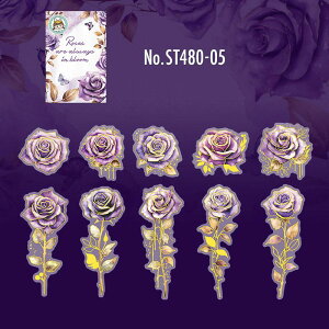 ST480 V[ o [Y KN  t[NV[ PET R[W f R[W V[ R[WV[ R[Wf XebJ[  蒠 L WNW[i CO m 