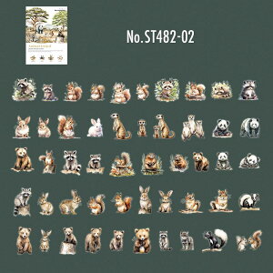 ST482 V[  CI L ]E N} g ACO} ETM Toi t[NV[ a R[W f R[W V[ R[WV[ R[Wf XebJ[ 