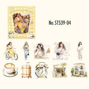 ST539 V[ l  ̎q  t@bV t[NV[ PET R[W f R[W V[ R[WV[ R[Wf XebJ[  蒠 L WNW[