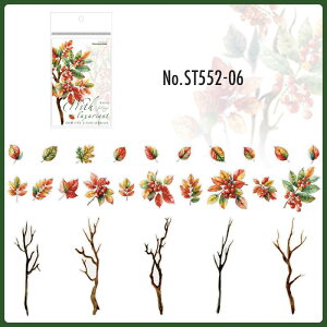 ST552 V[ A } t gt t } t ͂t t[NV[ PET R[W f R[W V[ R[WV[ R[Wf XebJ[  蒠 L WNW