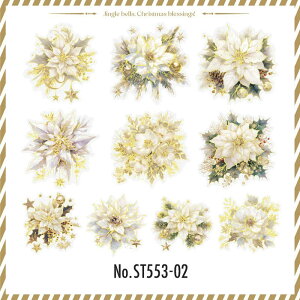 ST553 V[ NX}X t[ |CZ`A  NX}Xc[ t[NV[ PET R[W f R[W V[ R[WV[ R[Wf XebJ[  蒠 L 