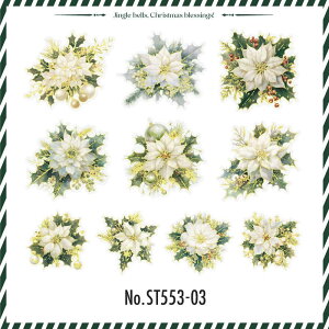 ST553 V[ NX}X t[ |CZ`A  NX}Xc[ t[NV[ PET R[W f R[W V[ R[WV[ R[Wf XebJ[  蒠 L 