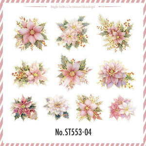 ST553 V[ NX}X t[ |CZ`A  NX}Xc[ t[NV[ PET R[W f R[W V[ R[WV[ R[Wf XebJ[  蒠 L 